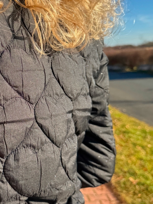 Křivák černý z bundového proševu